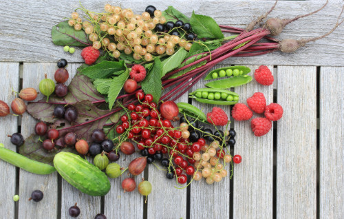 Jouw oogst van fruit en groenten in PlukPlek.