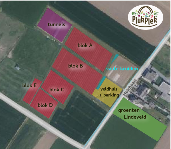 Petit plan de PlukPlek.